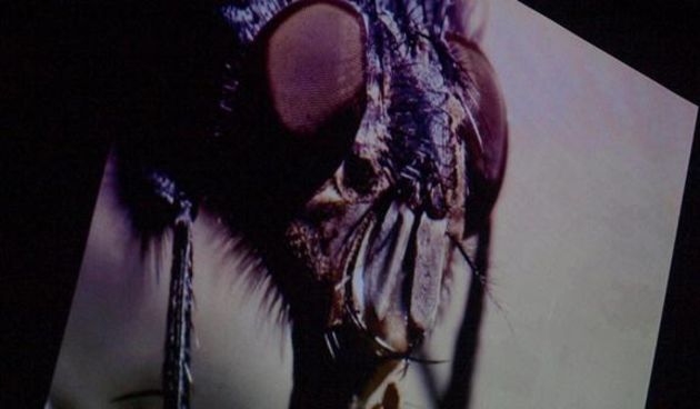 Rakurs 5 druga izložba (foto: V. Penga)