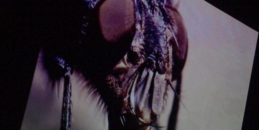 Rakurs 5 druga izložba (foto: V. Penga) Rakurs 5 druga izložba (foto: V. Penga)