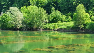 Odmor za dušu u ljepoti prirode by L. Kvarantan