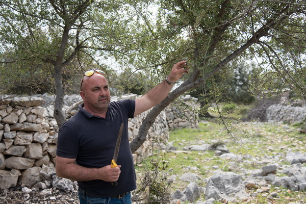 U Vrtovima lunjskih maslina održana 12. Lunjska maslinada. Foto: Vinko Pešić