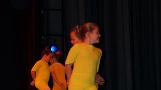 Plesno kazalisna udruga Zalet