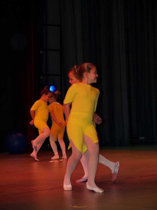 Plesno kazalisna udruga Zalet