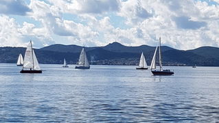 Zadarska Koka 2016. 22. listopada 2016. Foto: Mladen Malik Zadarska Koka 2016. 22. listopada 2016. Foto: Mladen Malik