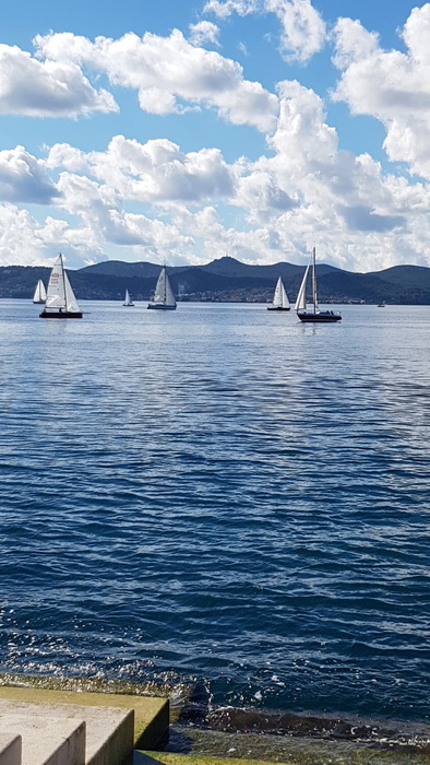 Zadarska Koka 2016. 22. listopada 2016. Foto: Mladen Malik Zadarska Koka 2016. 22. listopada 2016. Foto: Mladen Malik