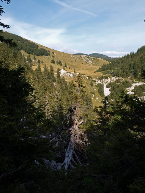 Nedjelja na Zavizanu