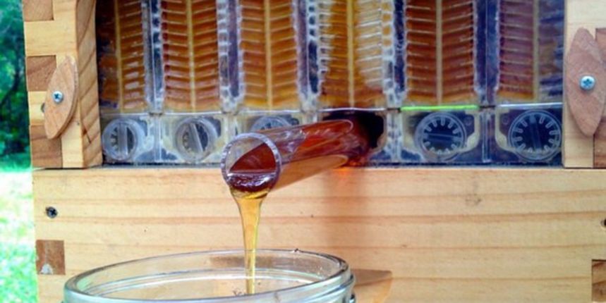 Genijalne košnice iz kojih se med izvlači “na slavinu” bez smetnje pčelama, foto: atma.hr Genijalne košnice iz kojih se med izvlači “na slavinu” bez smetnje pčelama, foto: atma.hr