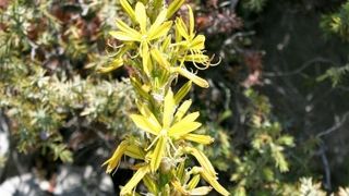 4. planinarski pohod “Hajdemo do Vrane” u organizaciji PD Belveder