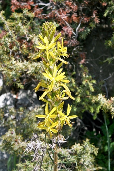 4. planinarski pohod “Hajdemo do Vrane” u organizaciji PD Belveder