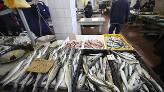 Đir po pešakariji 24. veljače 2012, Foto. Saša Čuka Đir po pešakariji 24. veljače 2012, Foto. Saša Čuka