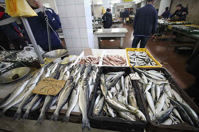 Đir po pešakariji 24. veljače 2012, Foto. Saša Čuka Đir po pešakariji 24. veljače 2012, Foto. Saša Čuka