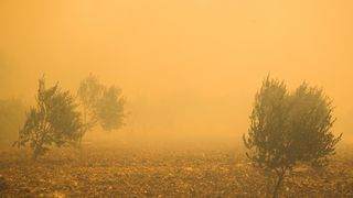 Veliki požar na Pelješcu