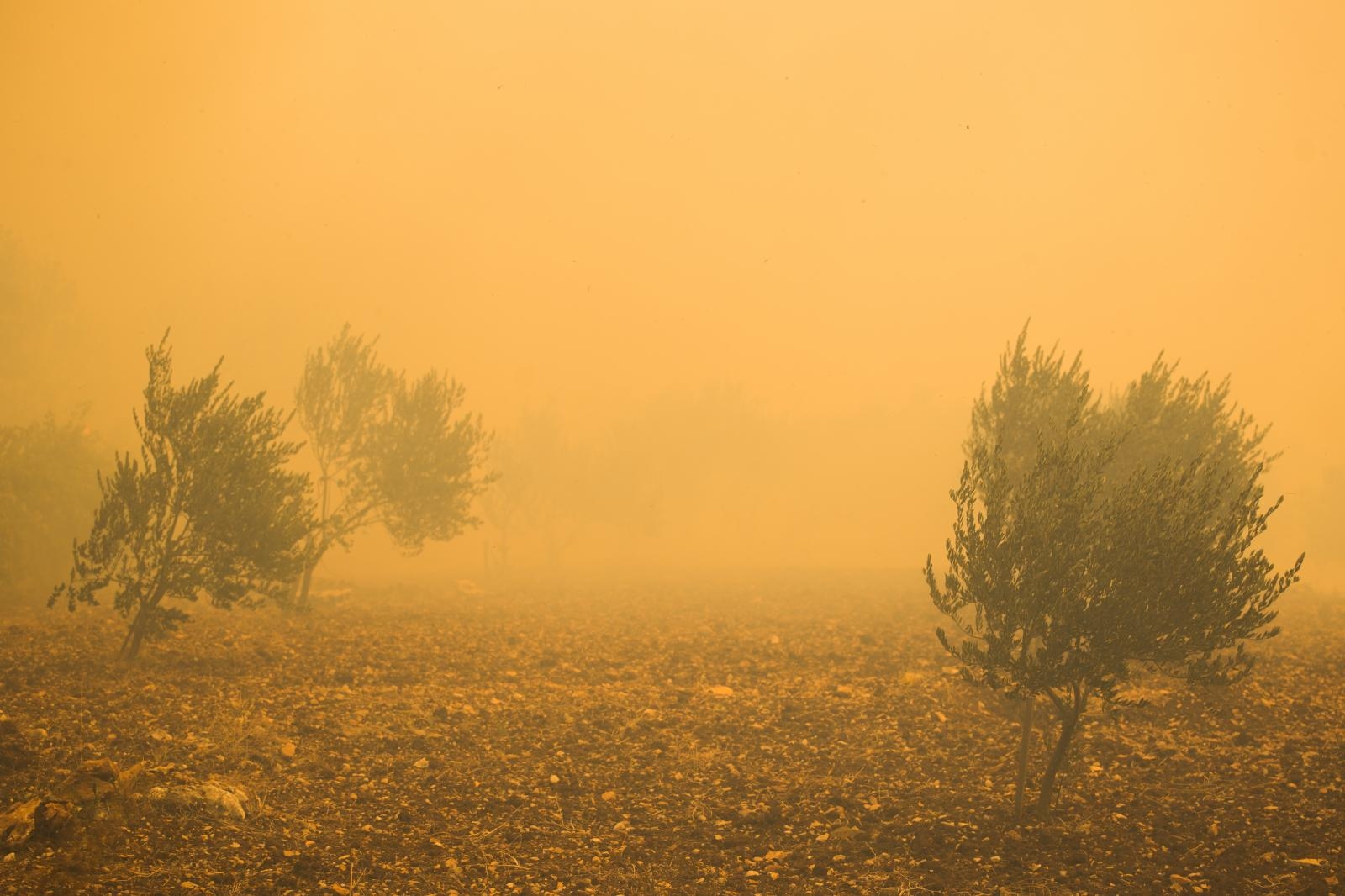 Veliki požar na Pelješcu