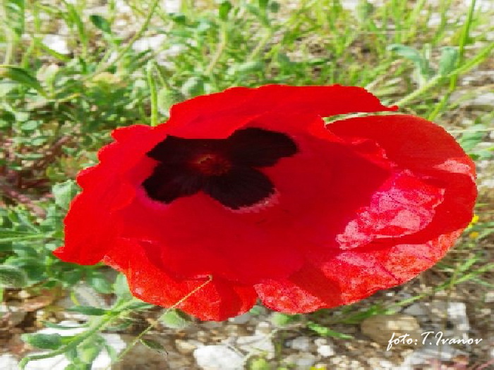 Prvosvibanjski izlet na Sveti Mihovil, Foto: Tomislav Ivanov