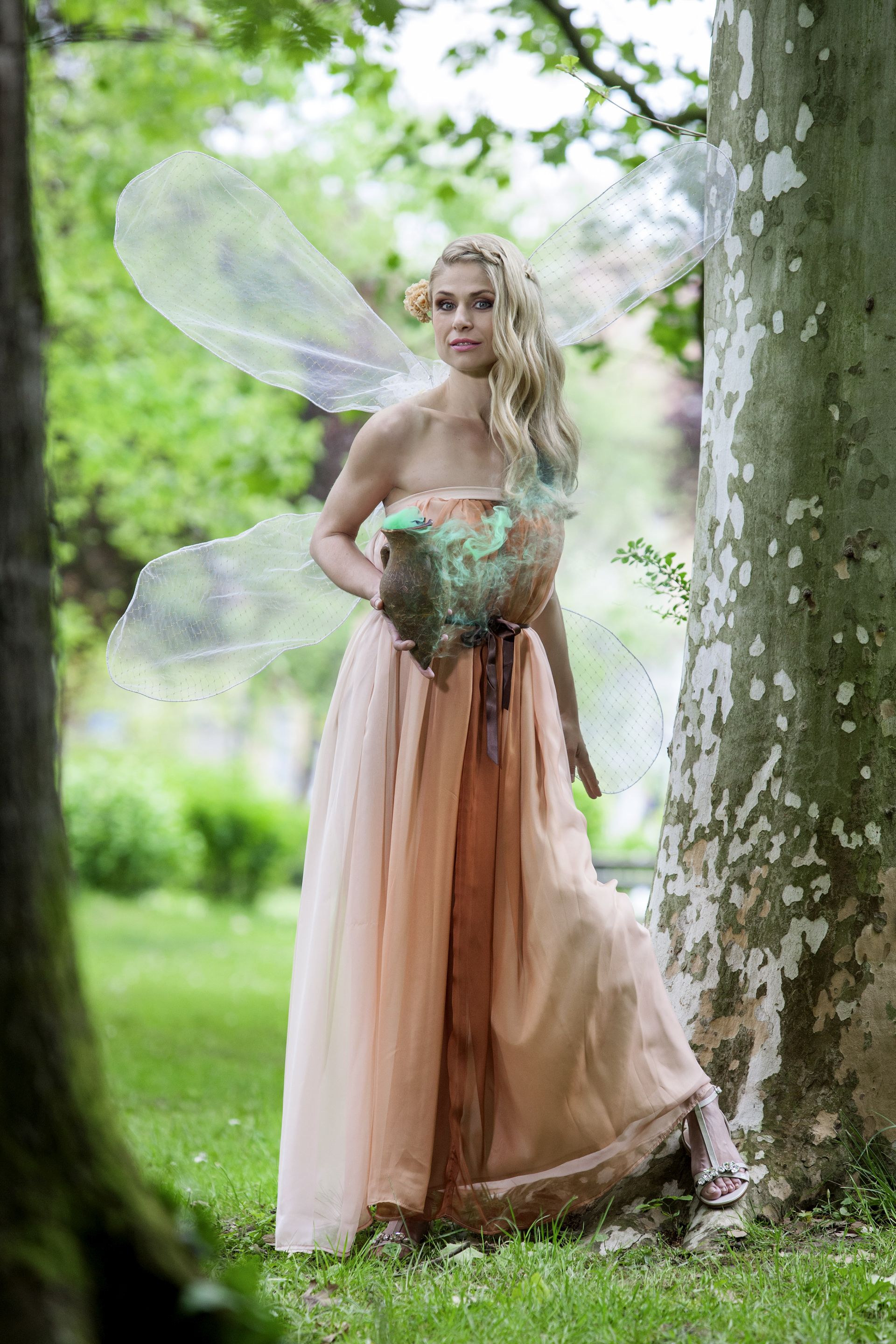 Misice kao šumske vile, koja ima ljepša krila?