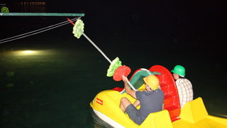 Biograd na Moru: 1. Morska alga 8. kolovoza 2009, Foto: Mladen Malik