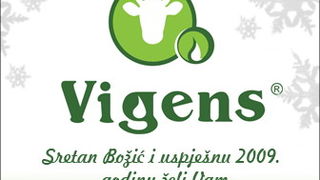 Vigens d.o.o.