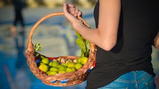 Festival smokava na Pozdravu suncu Festival smokava na Pozdravu suncu