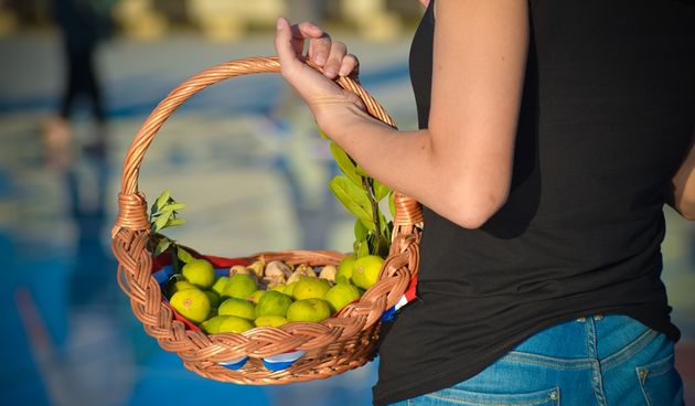 Festival smokava na Pozdravu suncu
