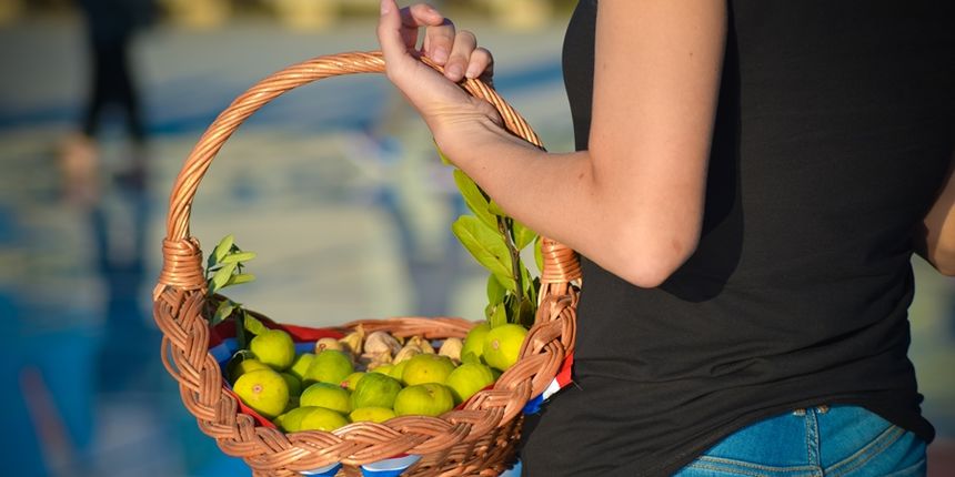 Festival smokava na Pozdravu suncu Festival smokava na Pozdravu suncu