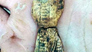 Paleolitička Venera pronađena u pećini Vlakno na Dugom otoku Paleolitička Venera pronađena u pećini Vlakno na Dugom otoku