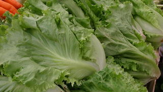 Image 1207673 (auto)