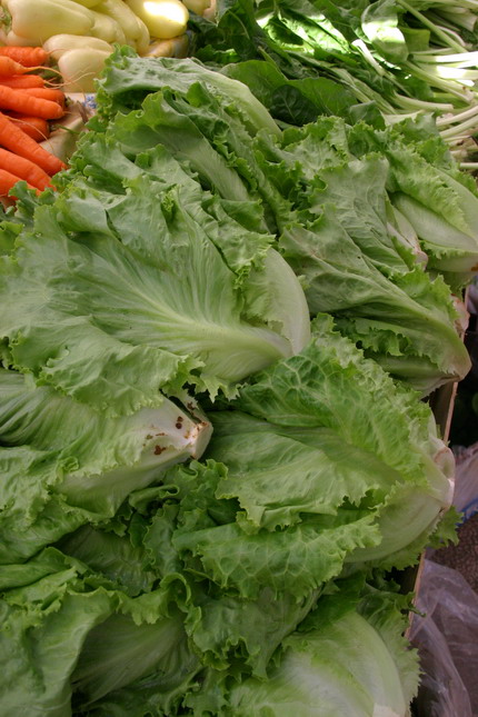 Image 1207673 (auto)