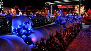 Cazma, 161209.
Grabovnica pokraj Cazme – Bozicna prica obitelji Salaj.
Zlatko Salaj ukrasio je i ove godine cijelo imanje s oko 1 milijun lampica. 
Za posjetitelje ce imanje biti otvoreno od subote 19.12. – 06. sijecnja od 17 h -21h.
Foto: Goran Mehkek /