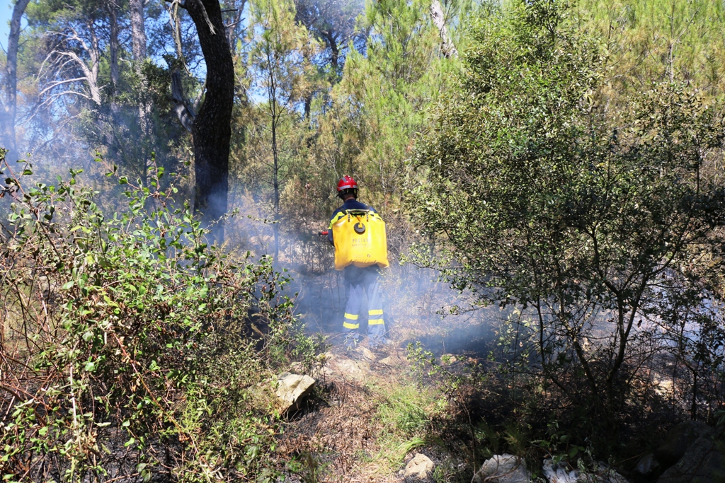 Vir: Požar u Lozicama u potpunosti ugašen Vir: Požar u Lozicama u potpunosti ugašen