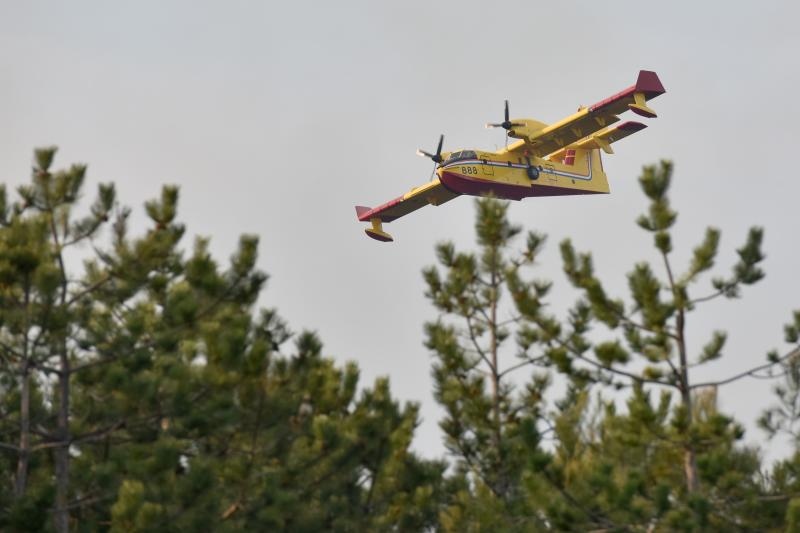 Veliki požar kod Ražanca uz vatrogasce gasili kanader i air tractor