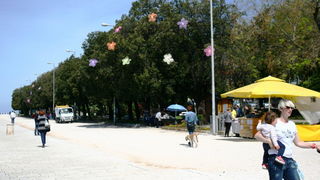 Otvorena 2. Vrtna izložba “Cvijet Zadra”. Foto: Marija Cvetković