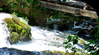 Đir do NP Krka. foto-Iva Perincic