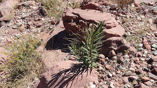 Skitnja po Maroku, foto: Pero Šindija Skitnja po Maroku, foto: Pero Šindija