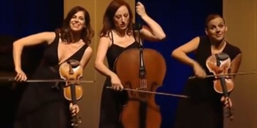 ‘Salut Salon’ ‘Salut Salon’