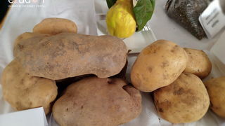 Gospić: Jesen u Lici 2018. Gospić: Jesen u Lici 2018.