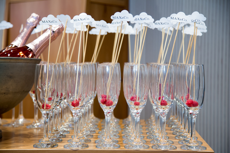 Poznate ambasadorice predstavile novu Max&Co kolekciju u oblacima Poznate ambasadorice predstavile novu Max&Co kolekciju u oblacima