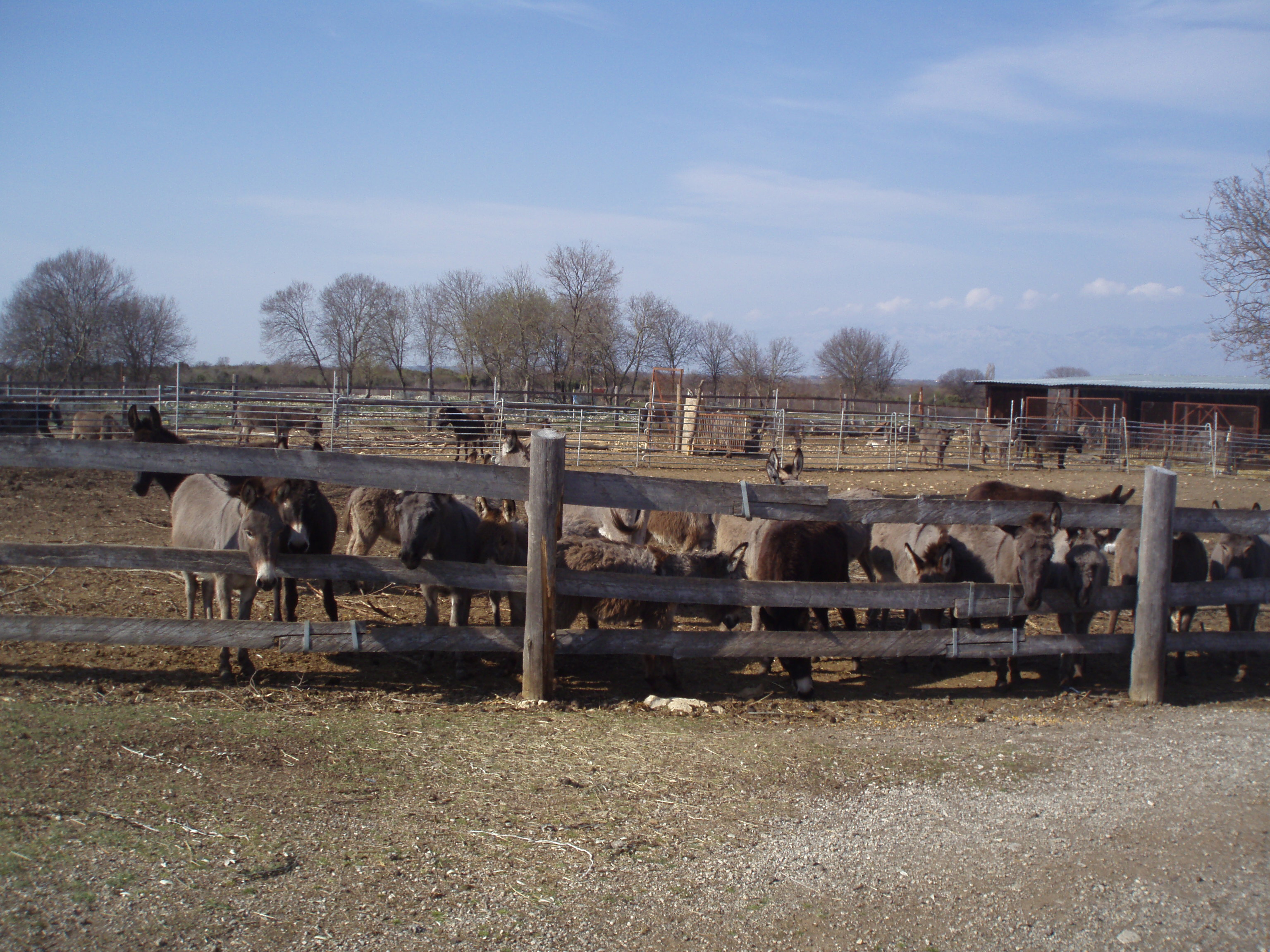 OLYMPUS DIGITAL CAMERA OLYMPUS DIGITAL CAMERA