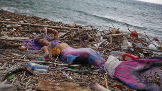 Mljet: Nasukana morska sirena Mljet: Nasukana morska sirena