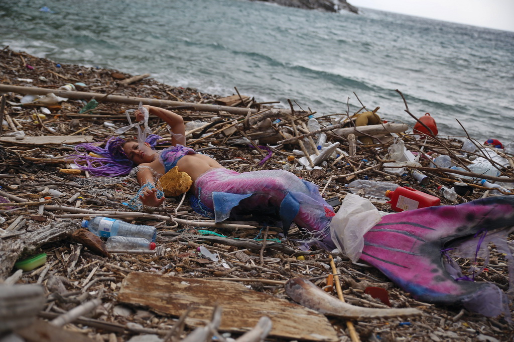Mljet: Nasukana morska sirena Mljet: Nasukana morska sirena