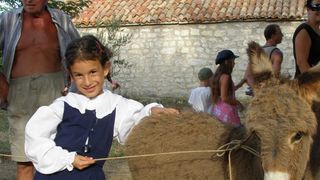 Trka magaraca Posedarje 2008., 9. kolovoza 2008.