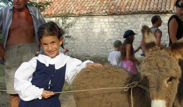 Trka magaraca Posedarje 2008., 9. kolovoza 2008.