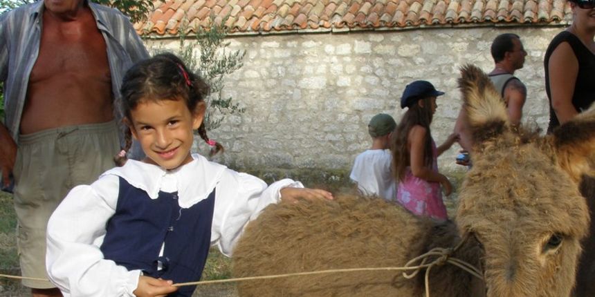 Trka magaraca Posedarje 2008., 9. kolovoza 2008. Trka magaraca Posedarje 2008., 9. kolovoza 2008.