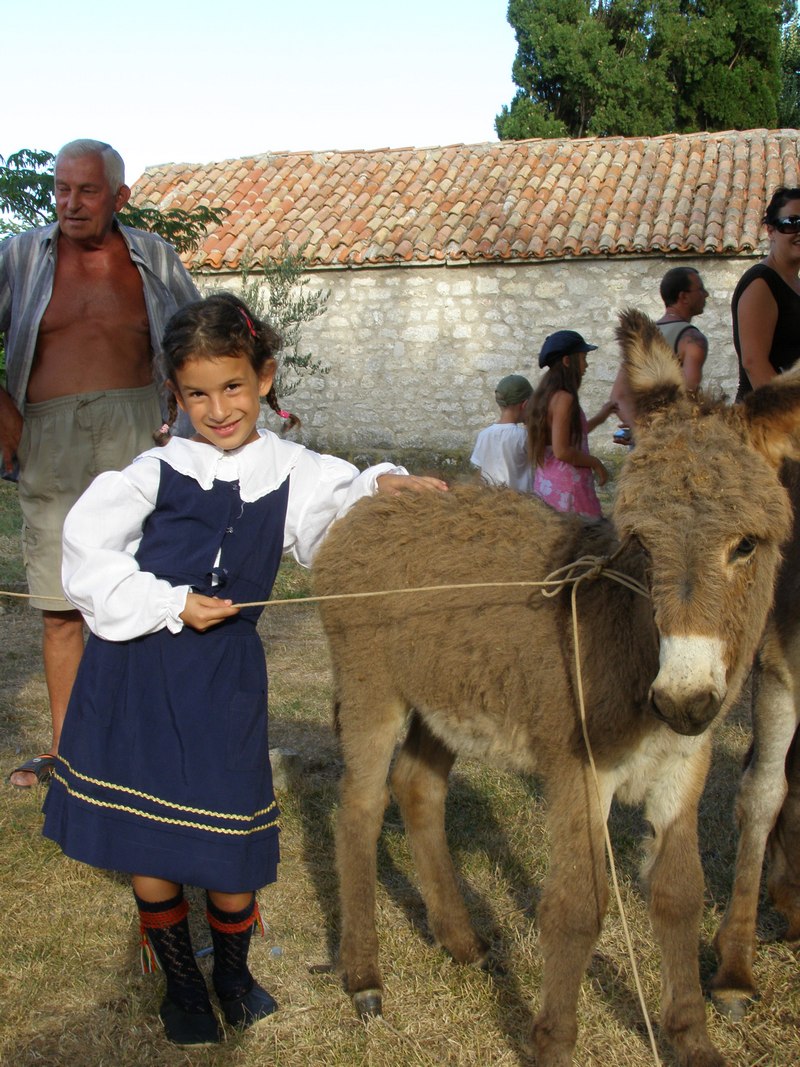 Trka magaraca Posedarje 2008., 9. kolovoza 2008.