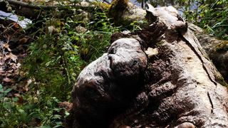 NP Plitvička jezera, listopad 2021.