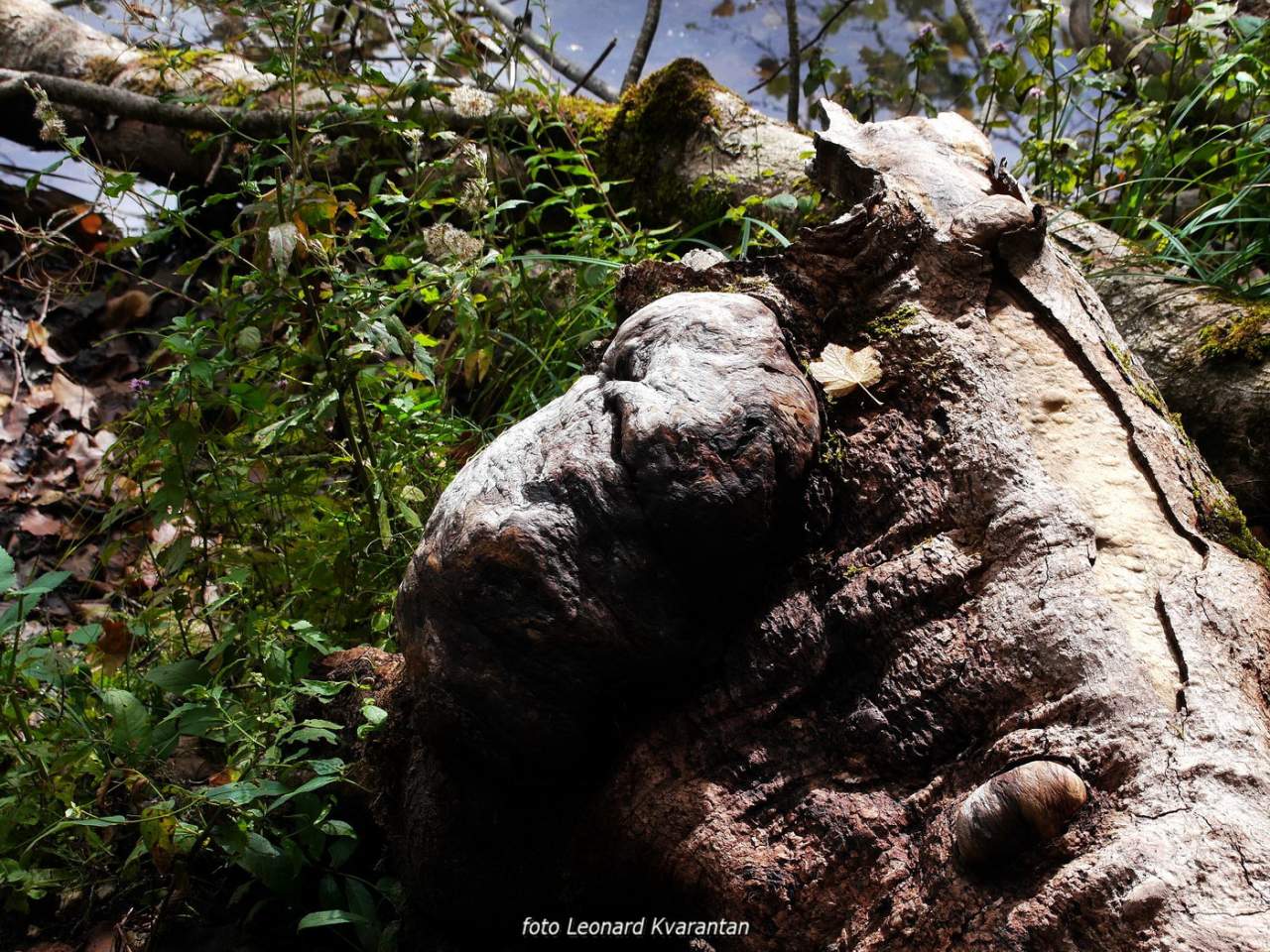 NP Plitvička jezera, listopad 2021.