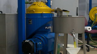 Put masline od stabla do djevicanskog ulja, Foto: Leo Banic Put masline od stabla do djevicanskog ulja, Foto: Leo Banic