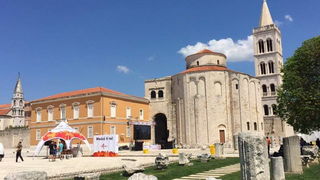 U iščekivanju Wings for Life World Run utrke