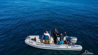 Pogledajte kako tri ženke dupina – Kiko, Sean i Andrea – love ribu kod otoka Orude Pogledajte kako tri ženke dupina – Kiko, Sean i Andrea – love ribu kod otoka Orude