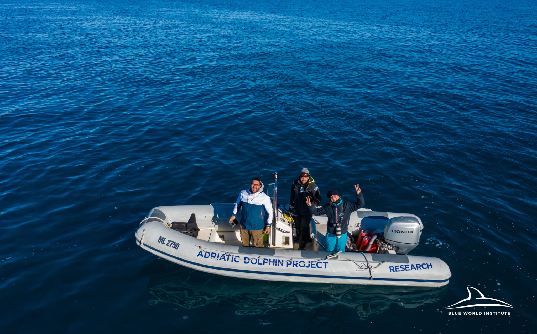 Pogledajte kako tri ženke dupina – Kiko, Sean i Andrea – love ribu kod otoka Orude Pogledajte kako tri ženke dupina – Kiko, Sean i Andrea – love ribu kod otoka Orude