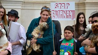 Skup podrške za NO KILL skloništa za životinje,  foto Iva Perinčić