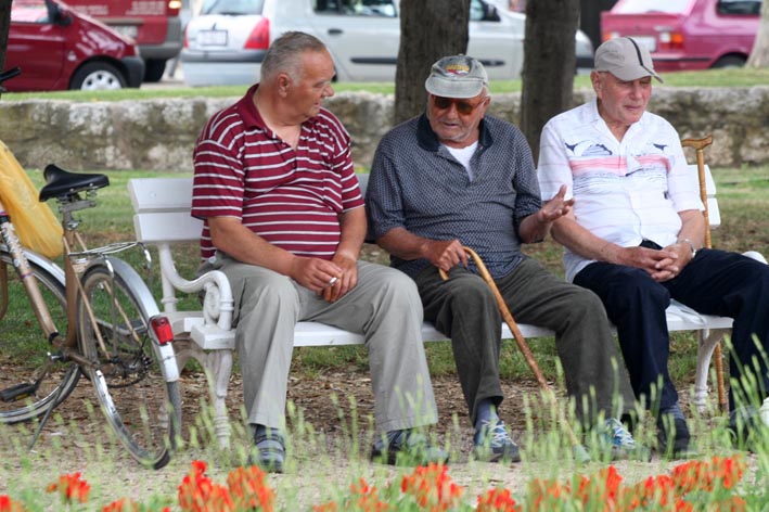 Image 1200527 (auto)